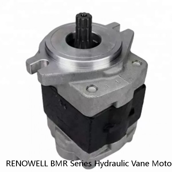 RENOWELL BMR Series Hydraulic Vane Motor With Two Inner Check Valves