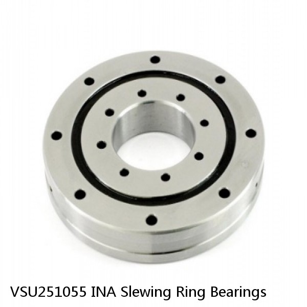 VSU251055 INA Slewing Ring Bearings