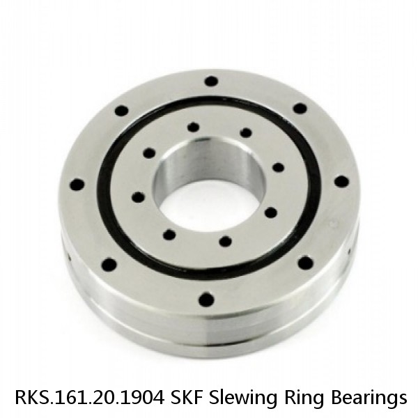 RKS.161.20.1904 SKF Slewing Ring Bearings