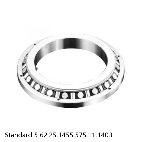 62.25.1455.575.11.1403 Standard 5 Slewing Ring Bearings