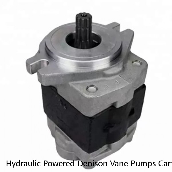 Hydraulic Powered Denison Vane Pumps Cartridge Kit With 1 Year Warranty