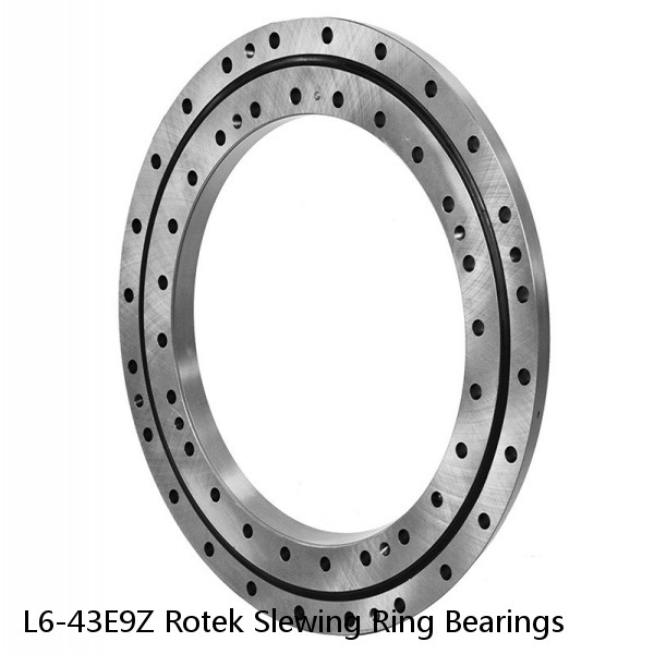 L6-43E9Z Rotek Slewing Ring Bearings