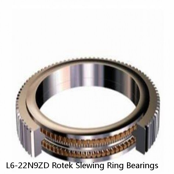 L6-22N9ZD Rotek Slewing Ring Bearings