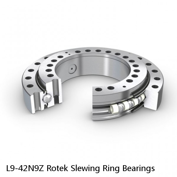 L9-42N9Z Rotek Slewing Ring Bearings #1 small image