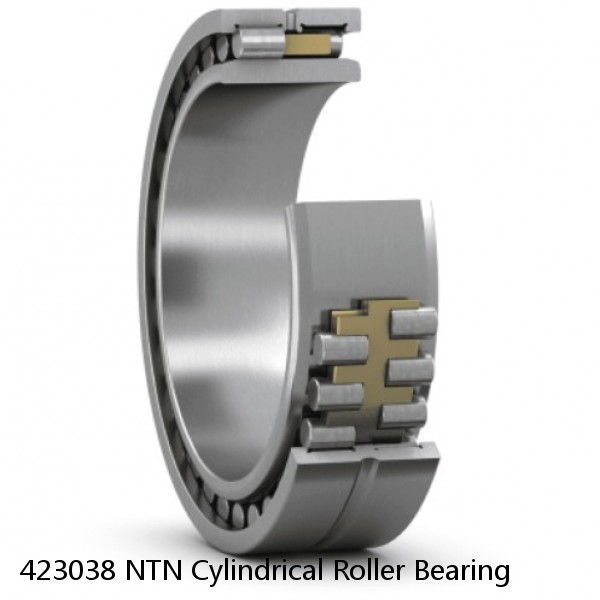 423038 NTN Cylindrical Roller Bearing #1 small image