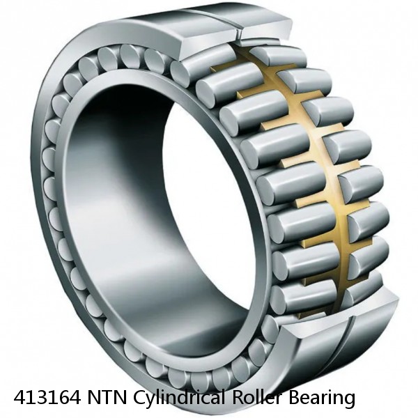 413164 NTN Cylindrical Roller Bearing #1 small image