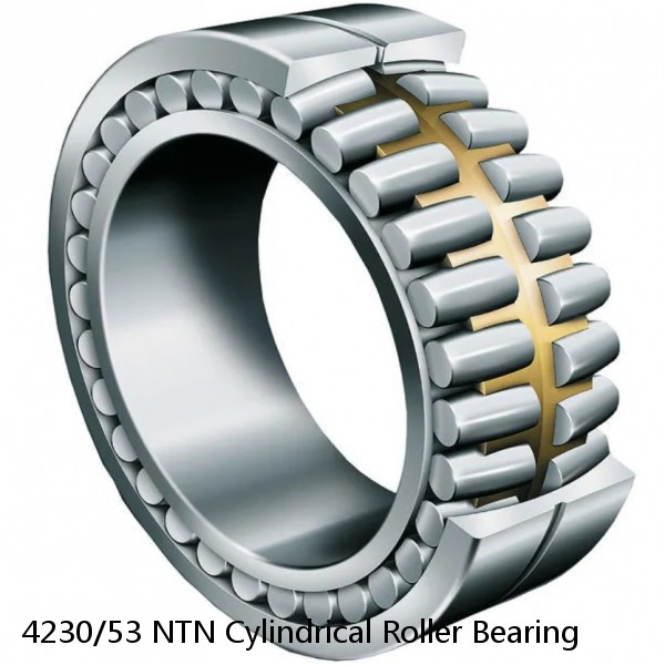 4230/53 NTN Cylindrical Roller Bearing