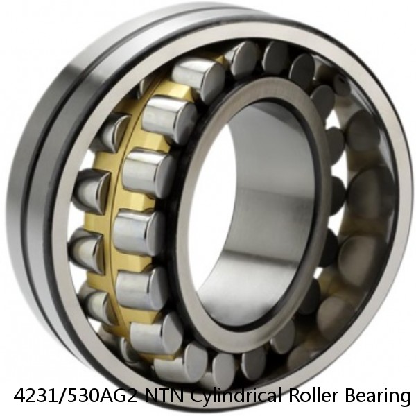 4231/530AG2 NTN Cylindrical Roller Bearing