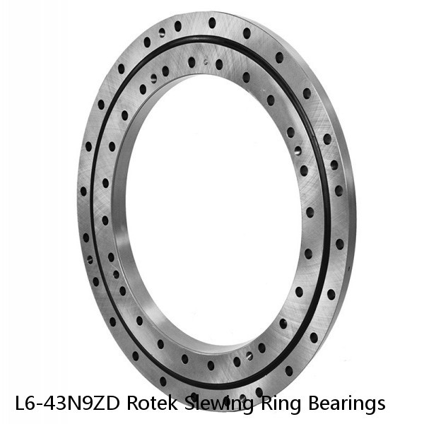 L6-43N9ZD Rotek Slewing Ring Bearings #1 image