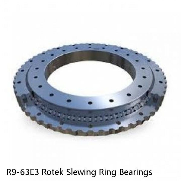 R9-63E3 Rotek Slewing Ring Bearings #1 image