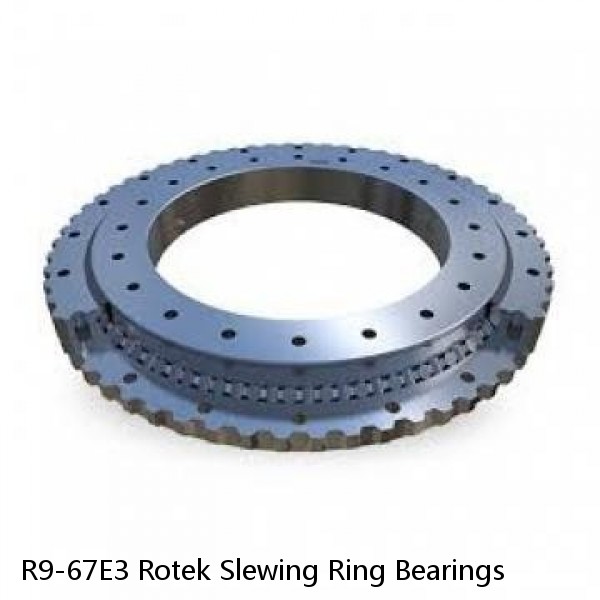 R9-67E3 Rotek Slewing Ring Bearings #1 image