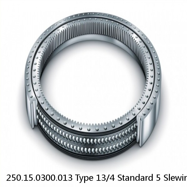 250.15.0300.013 Type 13/4 Standard 5 Slewing Ring Bearings #1 image