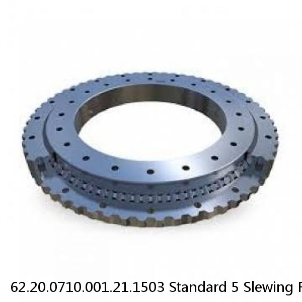 62.20.0710.001.21.1503 Standard 5 Slewing Ring Bearings #1 image
