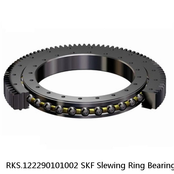 RKS.122290101002 SKF Slewing Ring Bearings #1 image