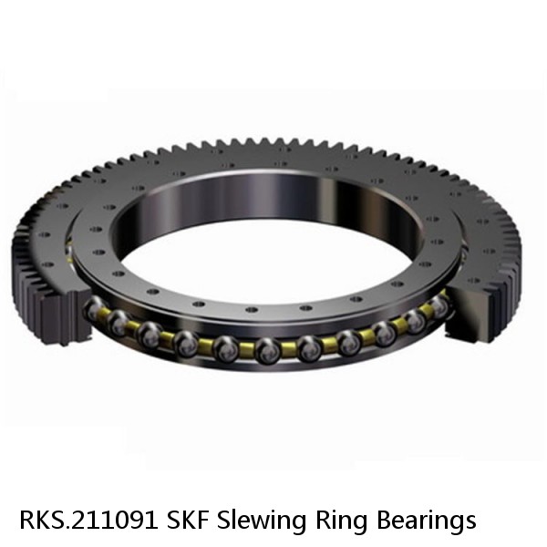 RKS.211091 SKF Slewing Ring Bearings #1 image