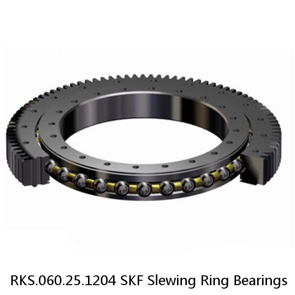 RKS.060.25.1204 SKF Slewing Ring Bearings #1 image