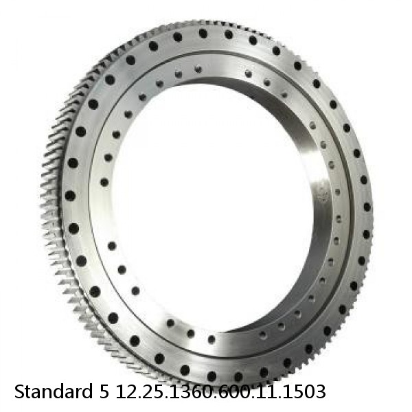 12.25.1360.600.11.1503 Standard 5 Slewing Ring Bearings #1 image