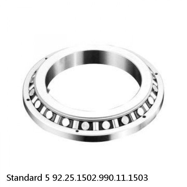 92.25.1502.990.11.1503 Standard 5 Slewing Ring Bearings #1 image