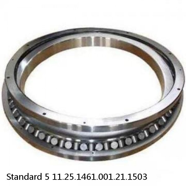 11.25.1461.001.21.1503 Standard 5 Slewing Ring Bearings #1 image