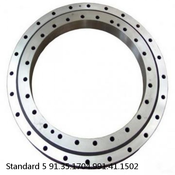 91.35.1704.991.41.1502 Standard 5 Slewing Ring Bearings #1 image