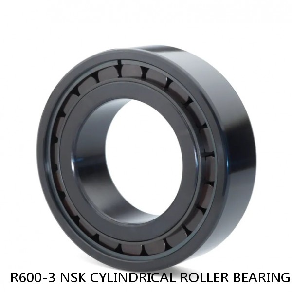 R600-3 NSK CYLINDRICAL ROLLER BEARING #1 image