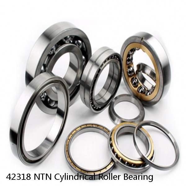 42318 NTN Cylindrical Roller Bearing #1 image