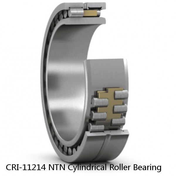 CRI-11214 NTN Cylindrical Roller Bearing #1 image